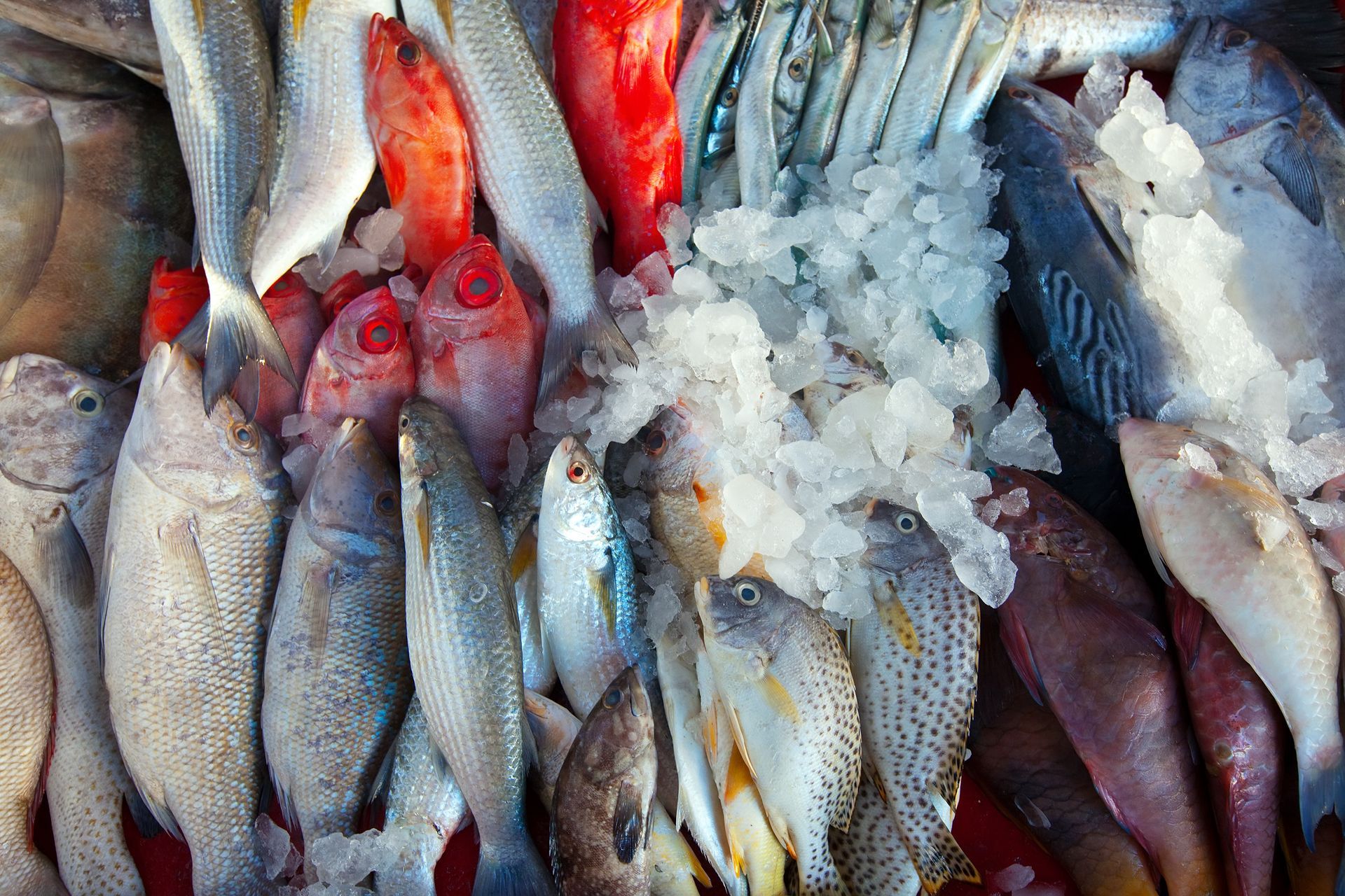 Wholesale supply of seafood
