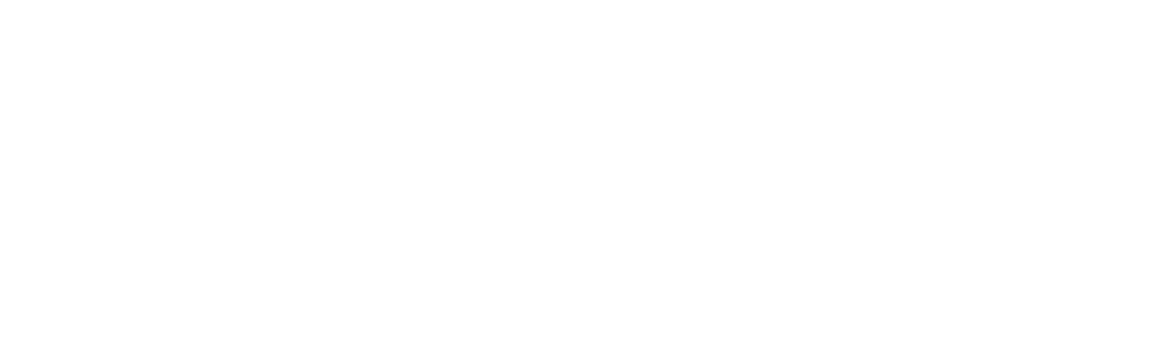 The Osprey at Lake Norman logo.
