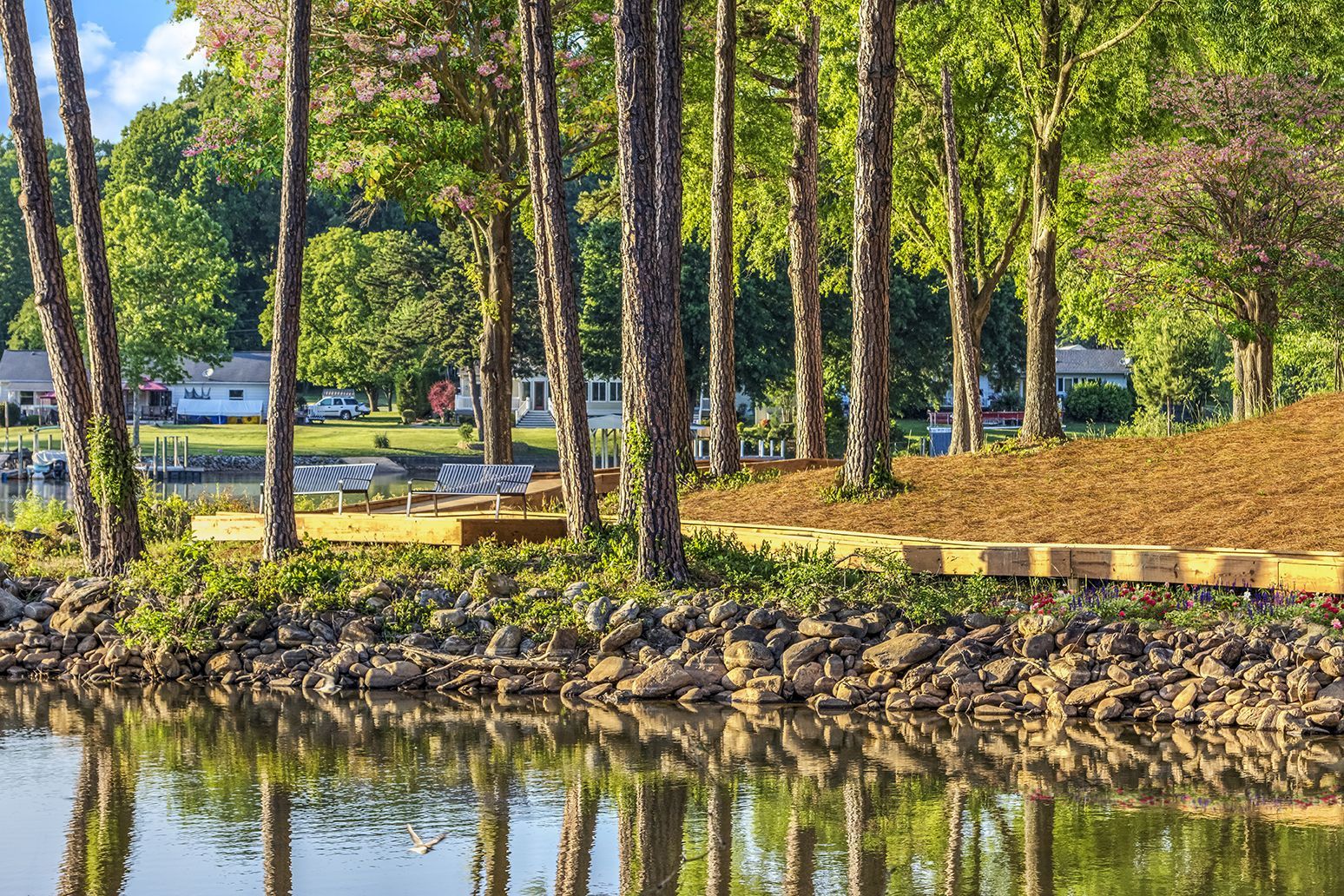 A lake surrounded by trees and rocks in a park at The Osprey in Mooresville, NC.
