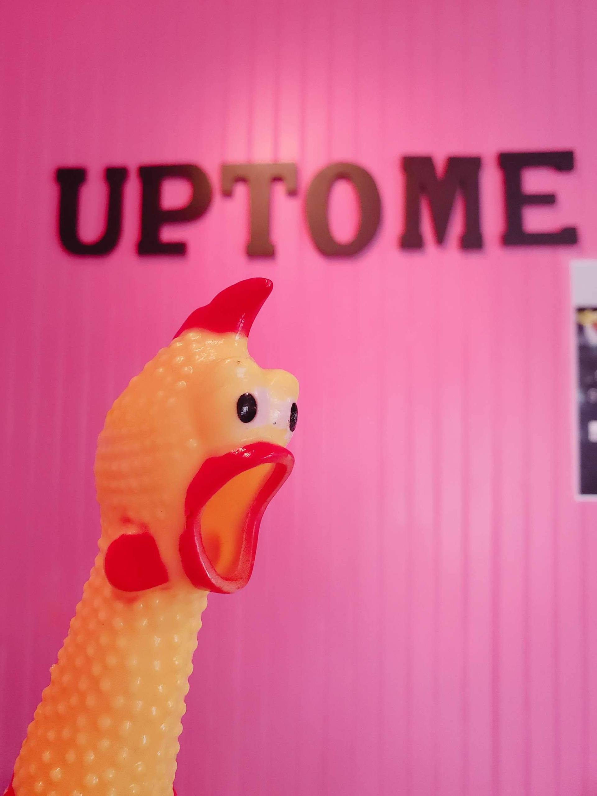 A rubber chicken is standing in front of a pink wall that says uptome