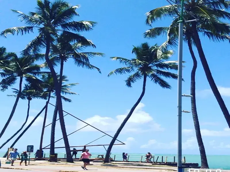 Palmeiras em uma praia sob um céu azul. Pessoas caminhando perto da água.