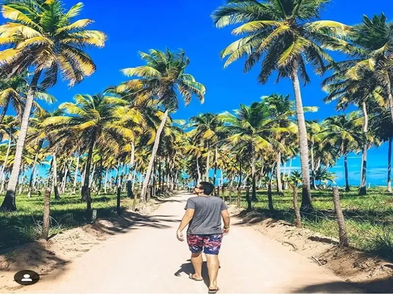 Homem caminhando por uma trilha de areia ladeada por palmeiras sob um céu azul brilhante.