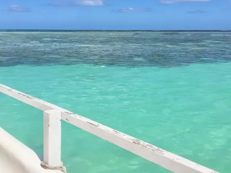 Corrimão branco com vista para o oceano cristalino e turquesa e para o recife sob um céu azul.