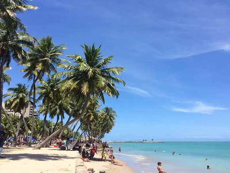 Cena de praia com palmeiras, céu azul e água turquesa. Pessoas na areia nadando.