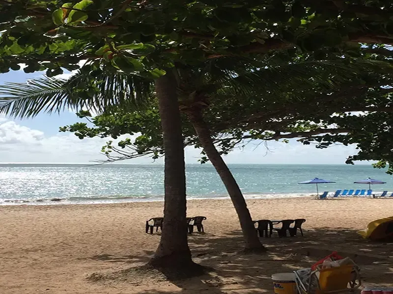 Cena de praia com palmeiras, oceano, areia, cadeiras e guarda-sóis.