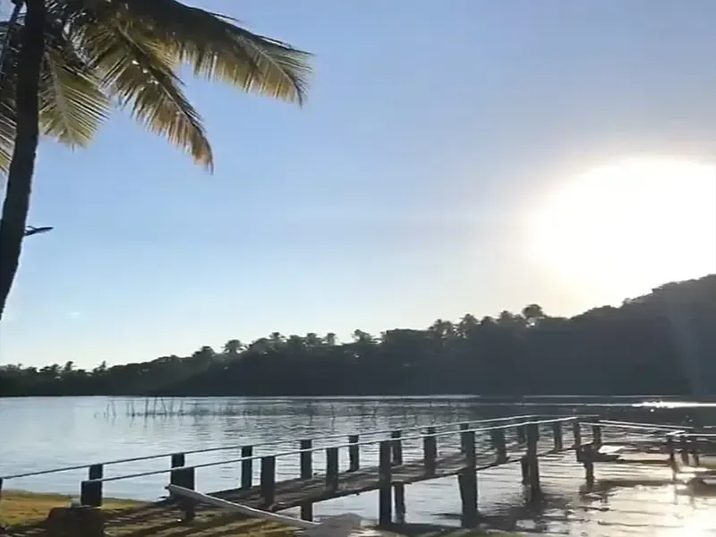 Cena ensolarada de um lago com um píer de madeira, uma palmeira e uma margem arborizada.