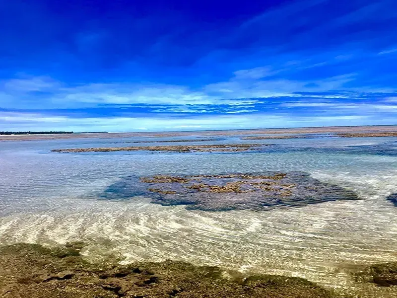 Águas costeiras rasas com recifes expostos sob um céu azul brilhante.