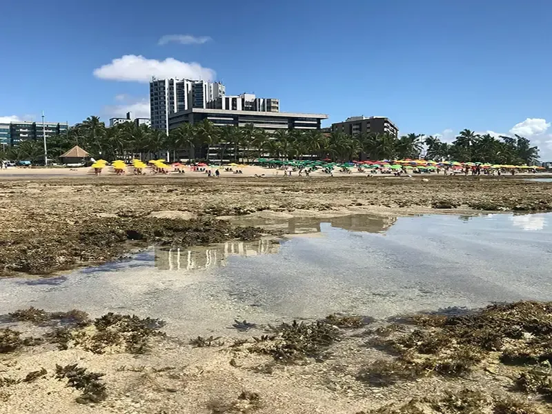 Praia com maré baixa revelando piscinas rasas e a orla com edifícios ao fundo sob um céu azul.