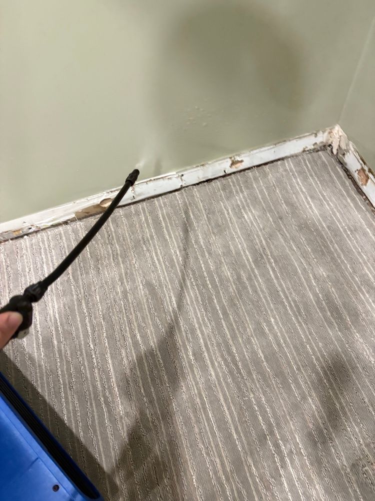 Professional drying equipment setup