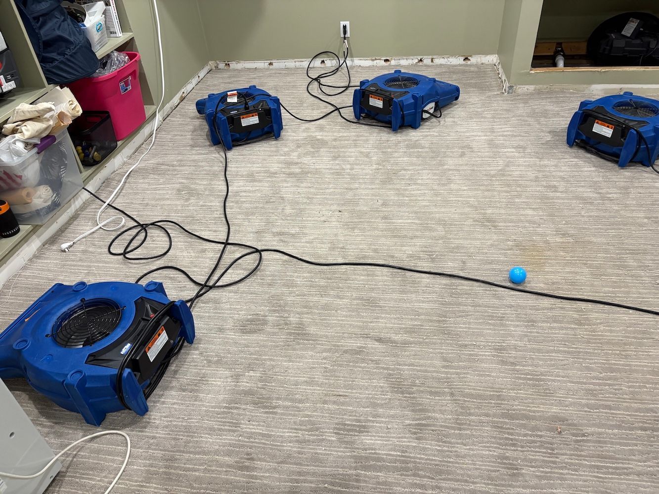 Baseboards removal for proper drying