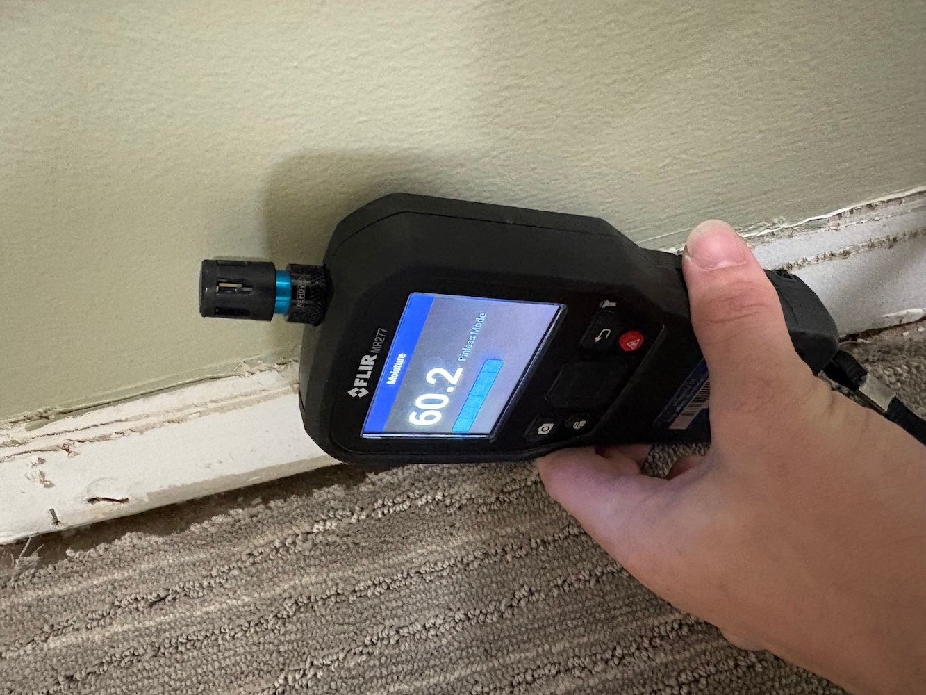 Initial water damage assessment in basement