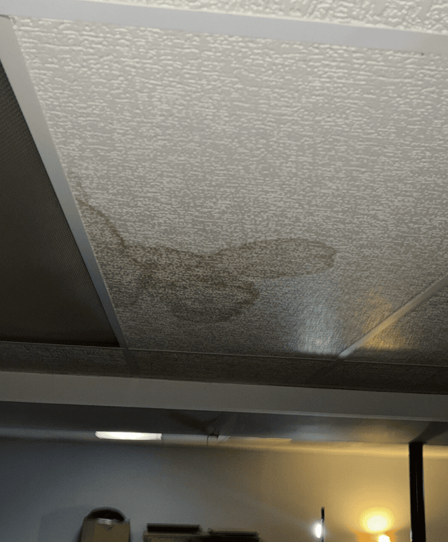 Ceiling water damage from sewage backup