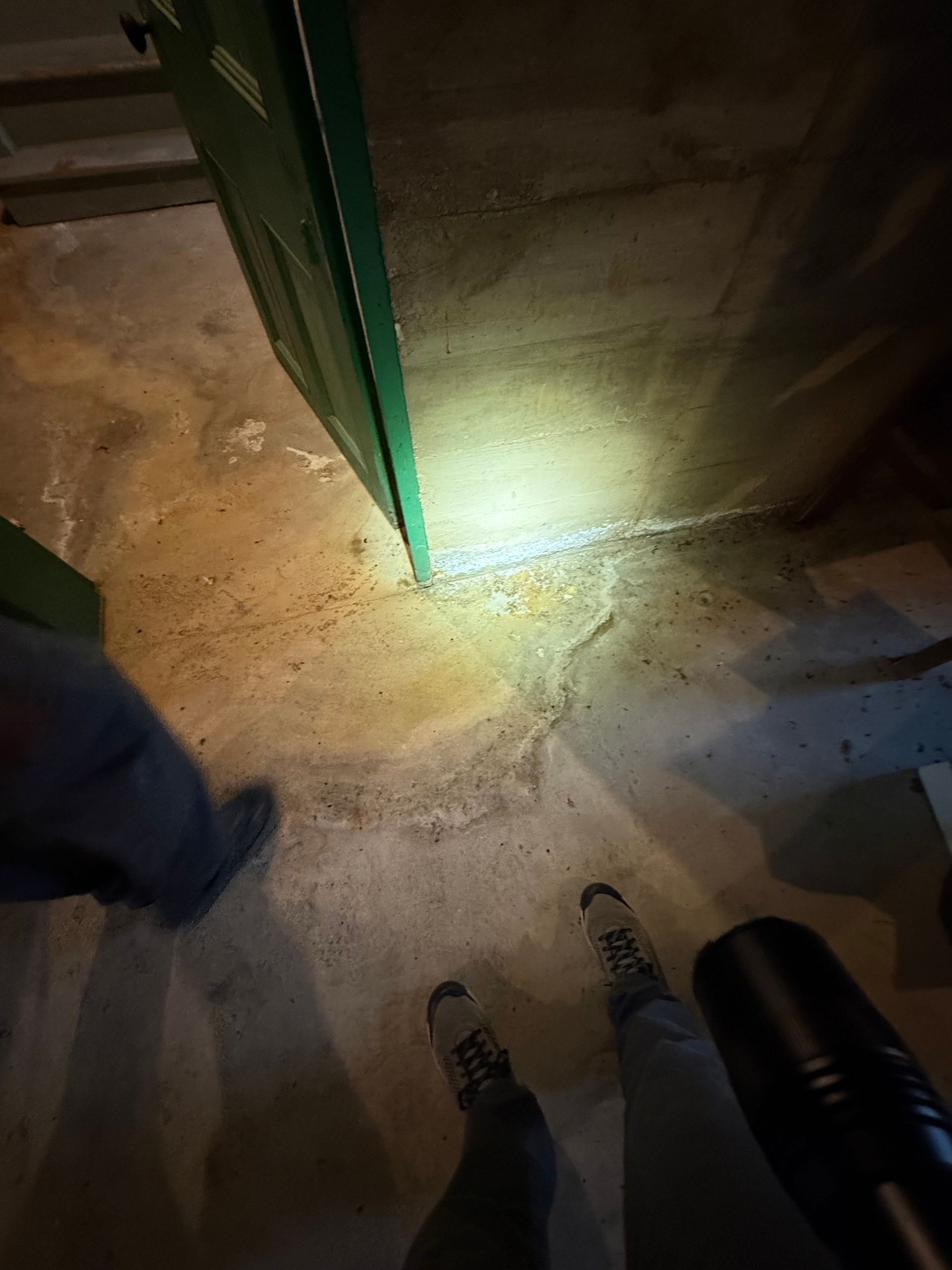 Emergency Moisture Cleanup