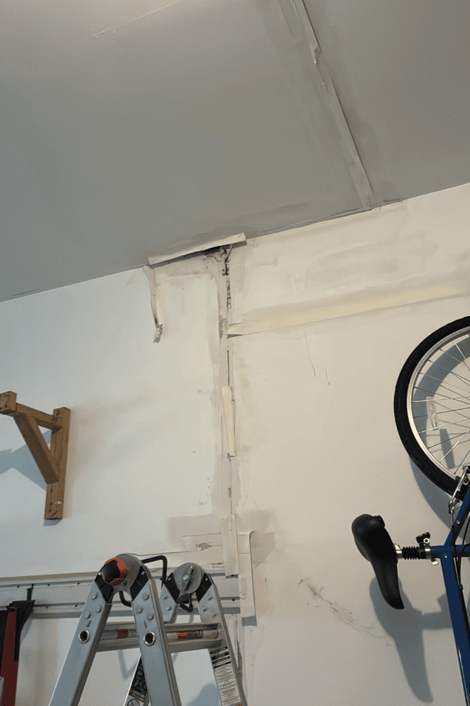 Exposed framing showing mold contamination