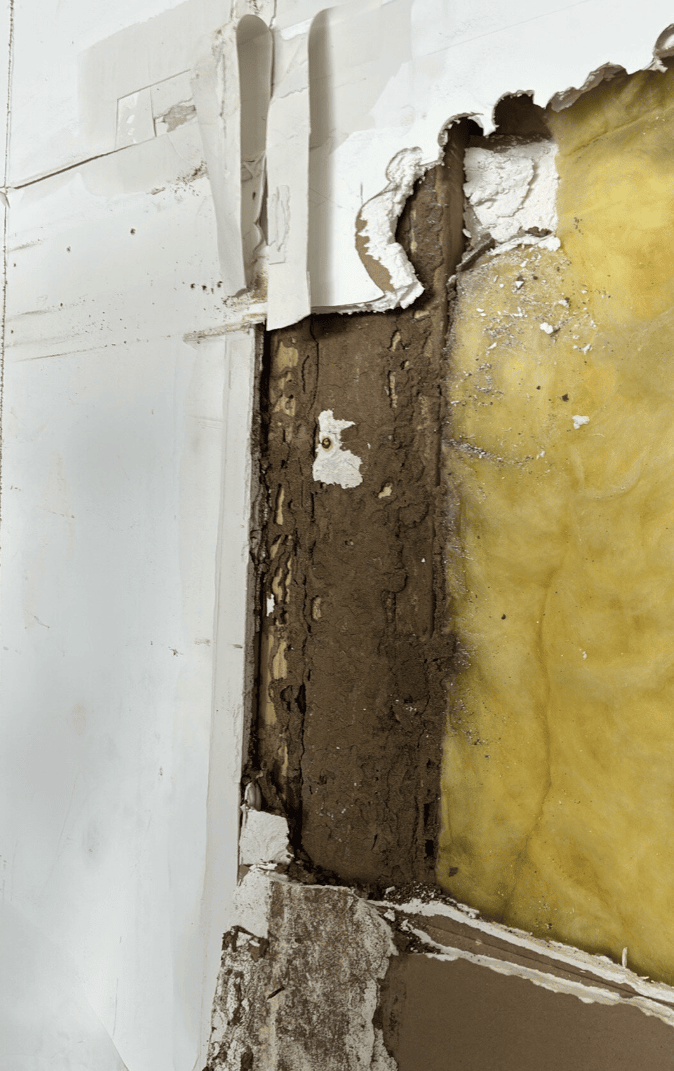 Wall cavity exposed during remediation