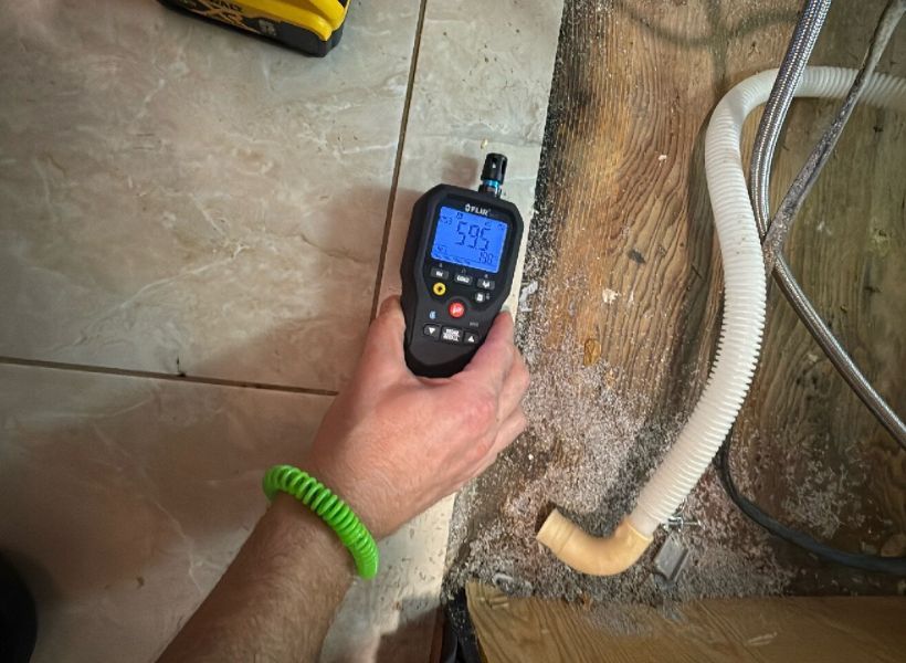 inspection and moisture meter reading