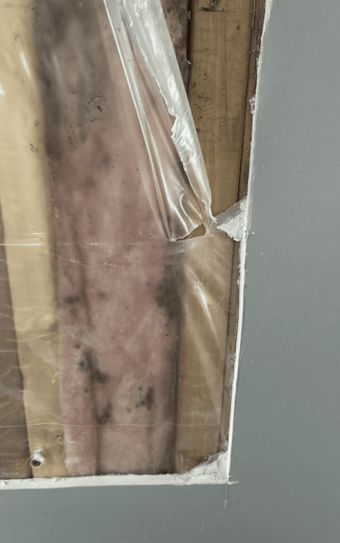 Early signs of moisture damage behind walls