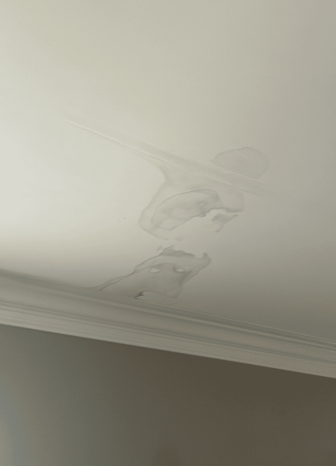 Water-saturated insulation removal