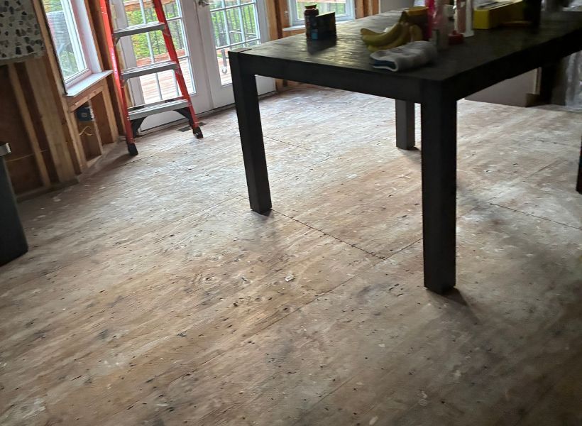 main level water damage mitigation complete