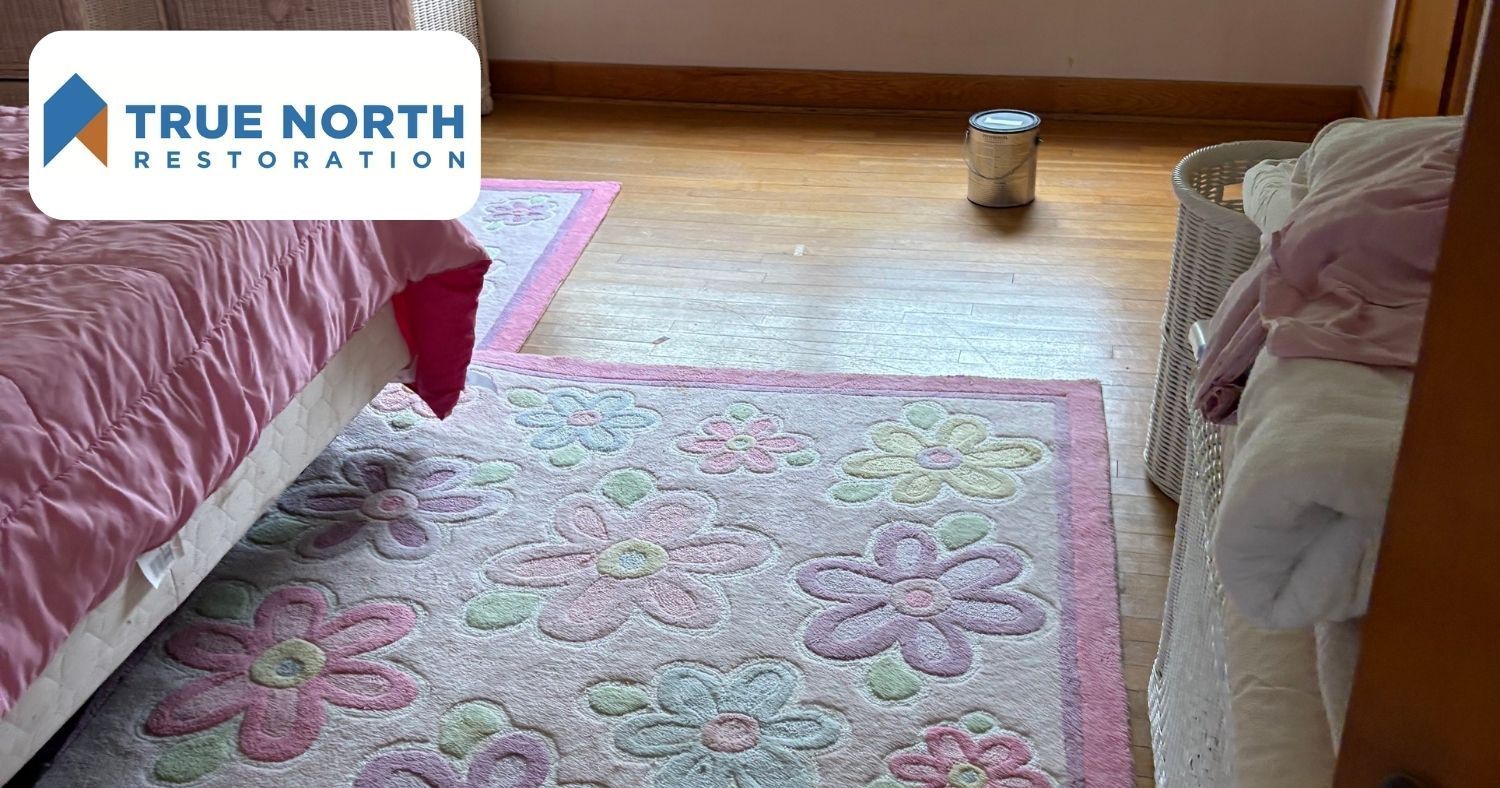 Emergency Moisture Cleanup: How We Helped a New Haven, MO Homeowner Get Back to Normal
