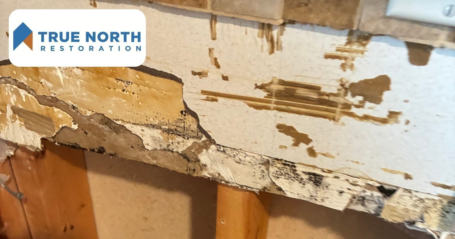 Mold Damaged Kitchen