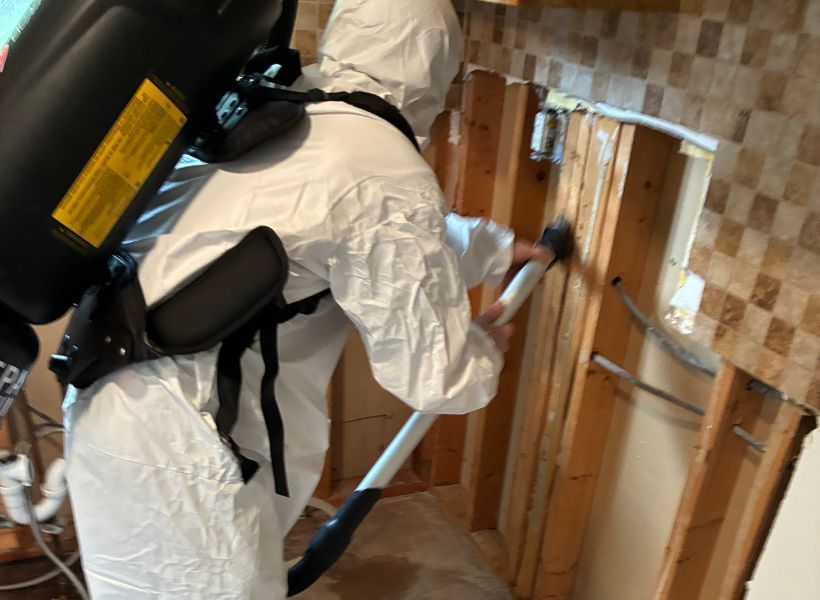 mold remediation