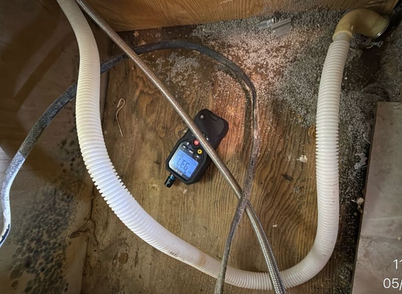 mold under the kitchen sink