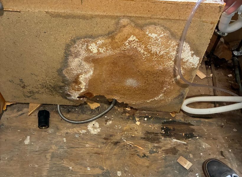 mold-infested materials