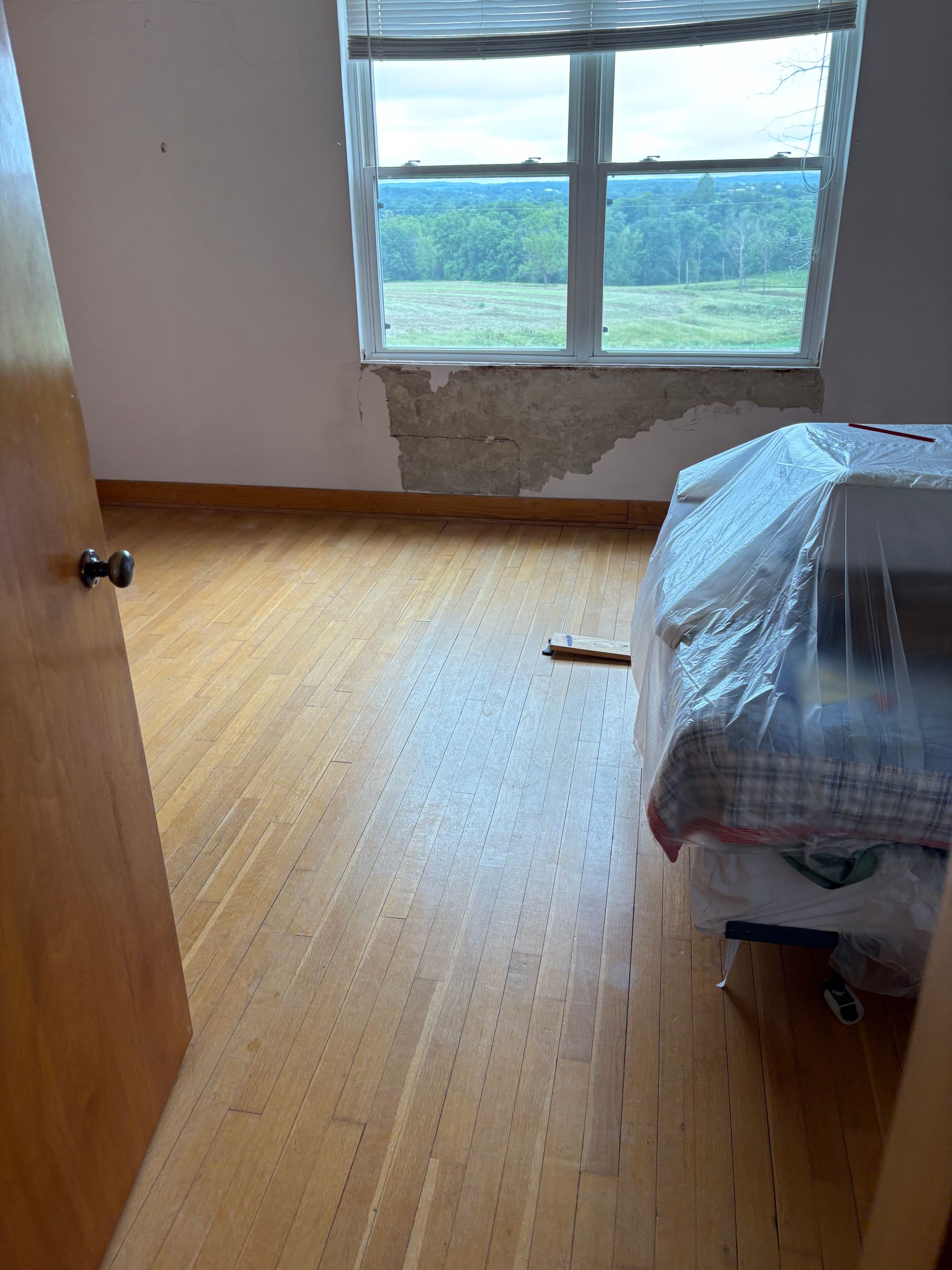 removal of water damaged materials