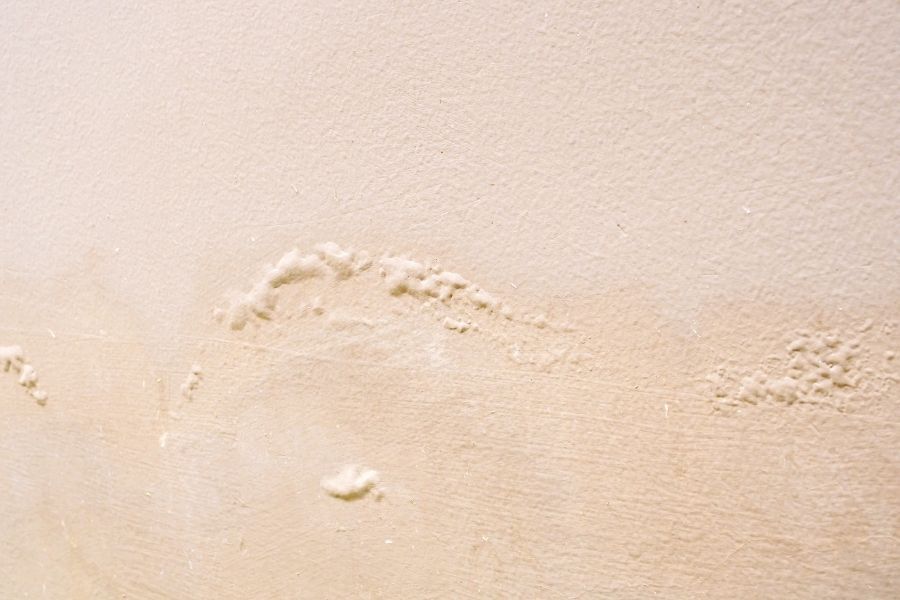Soft drywall and bubbling paint from water damage