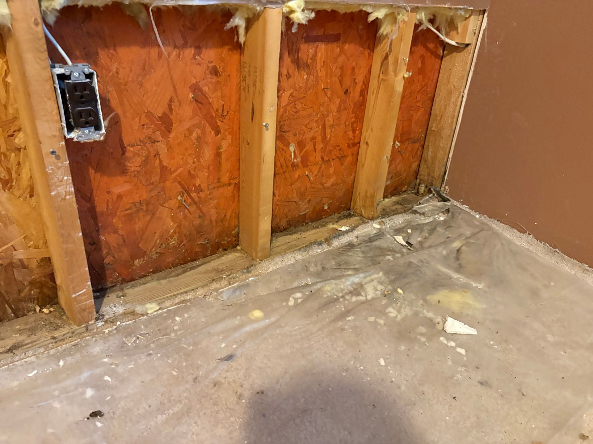 mold remediation in Collinsville, IL