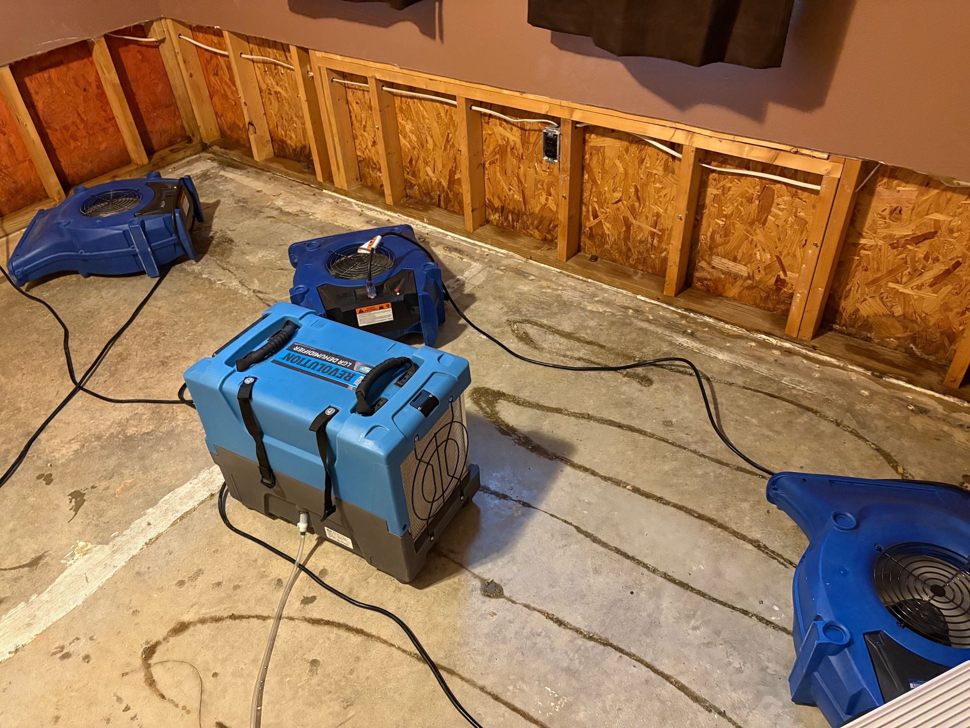 mold remediation in Collinsville, IL