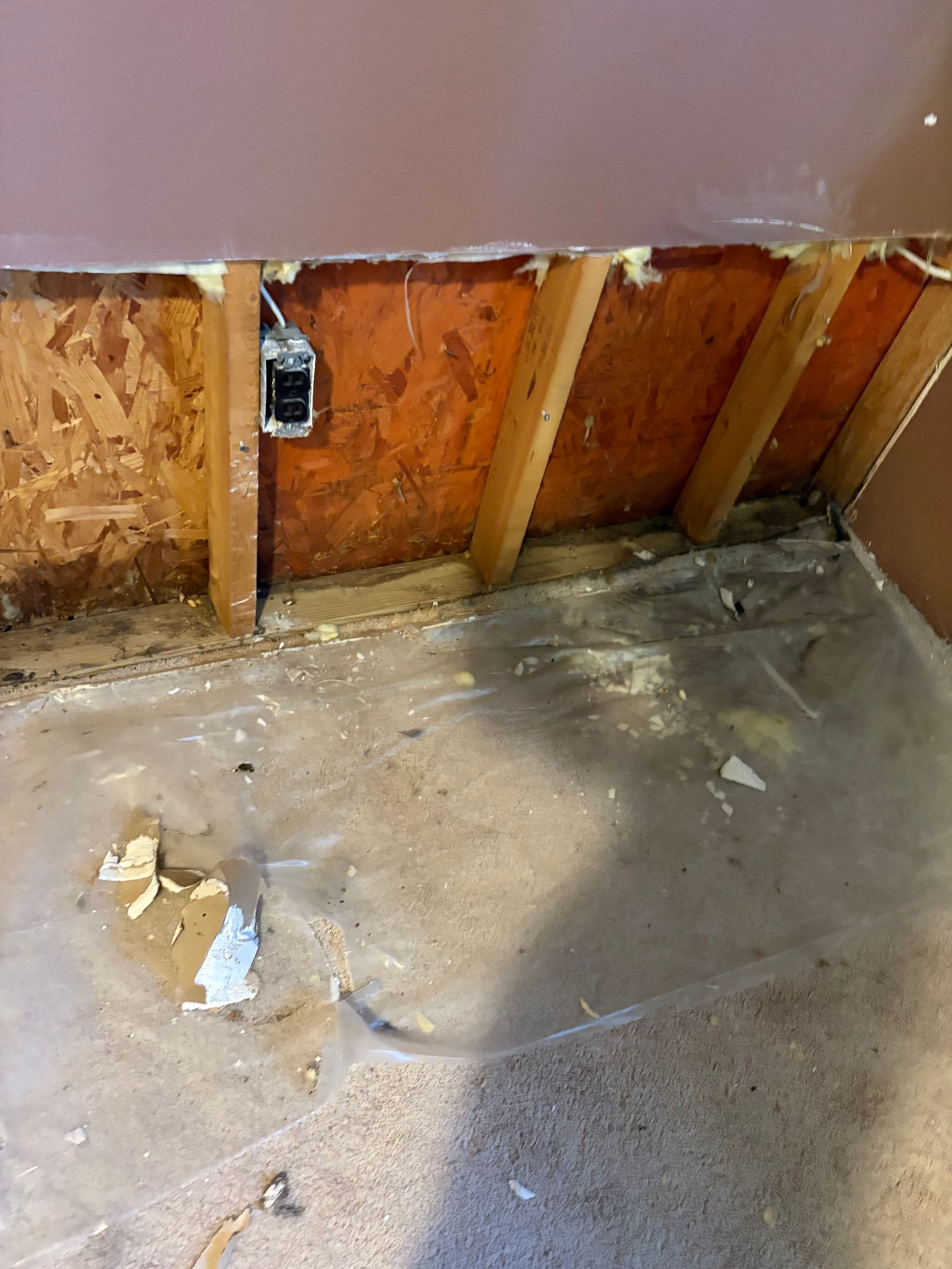 mold remediation in Collinsville, IL