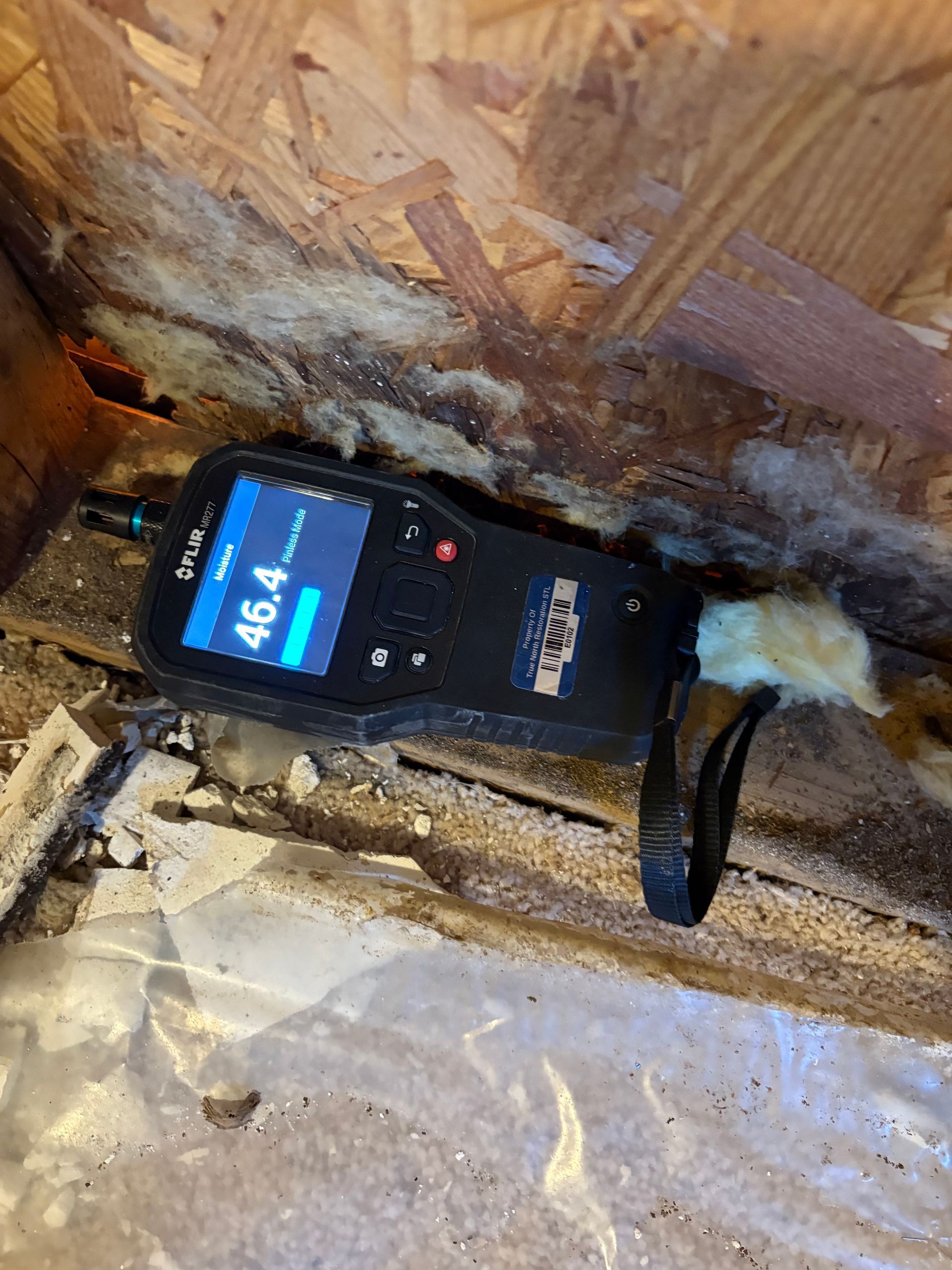 mold remediation in collinsville, il