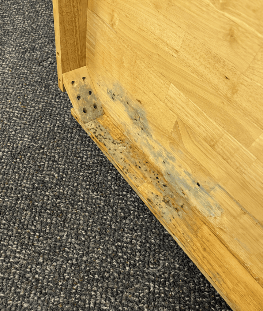 Water and potential mold damage