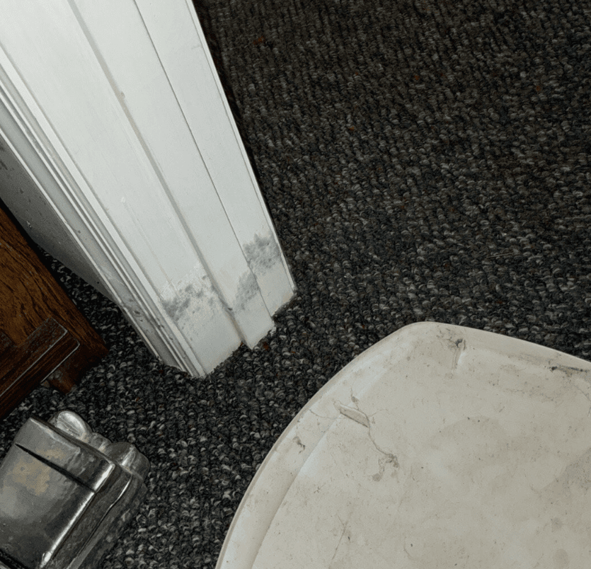 Extensive water damage throughout basement