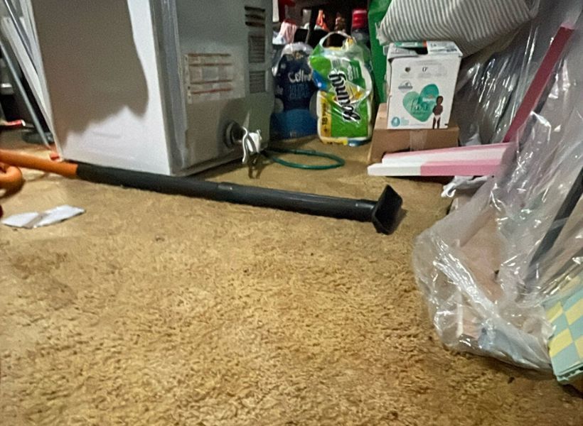 water damaged carpet