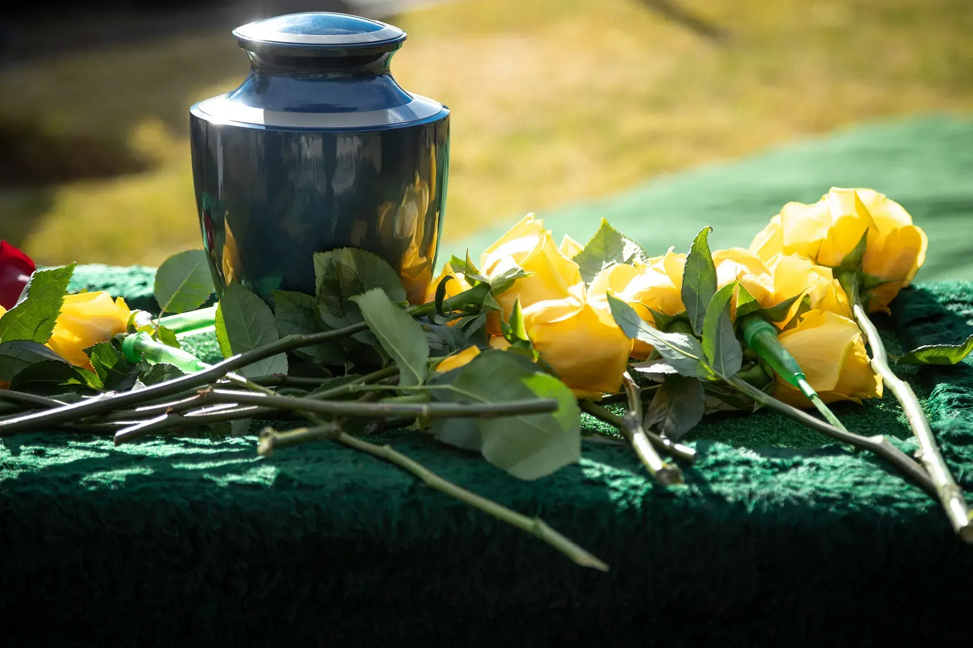 A urn surrounded by yellow roses and leaves on a table.