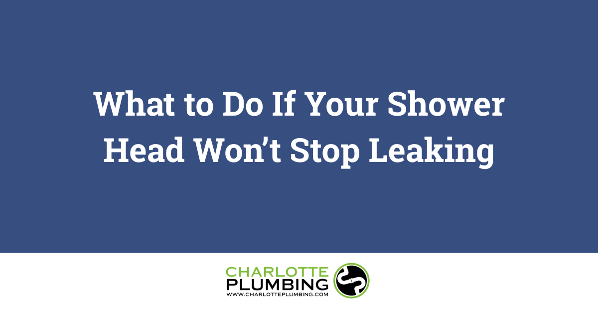 Charlotte Plumbing: Shower Head Leaking? Here’s What to Do