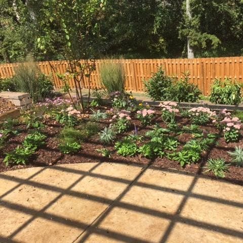 Backyard Landscaping