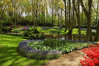Flower Landscape — Lawn Care in Moseley, VA