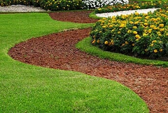 Landscaping — Lawn Care in Moseley, VA