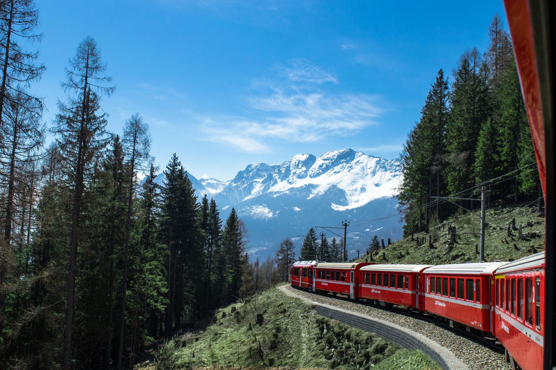 A red train is going through a forest with mountains in the background.