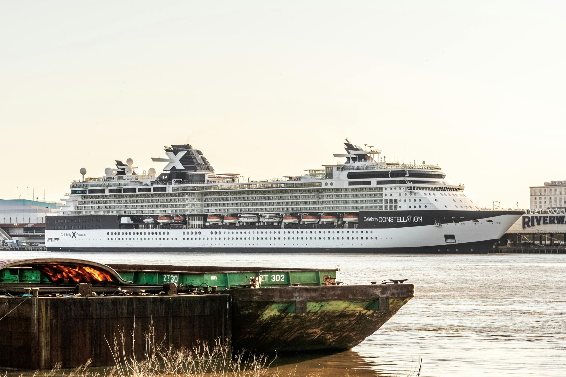 A cruise ship in the ocean with a palm tree in the foreground