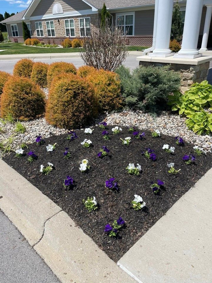 A garden with purple and white flowers in front of a house – Mt. Washington, KY - Beck’s