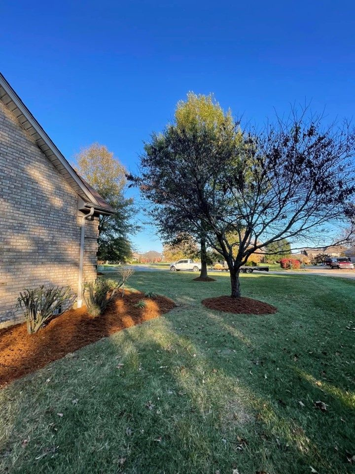There is a tree in the middle of the yard next to a house – Mt. Washington, KY - Beck’s