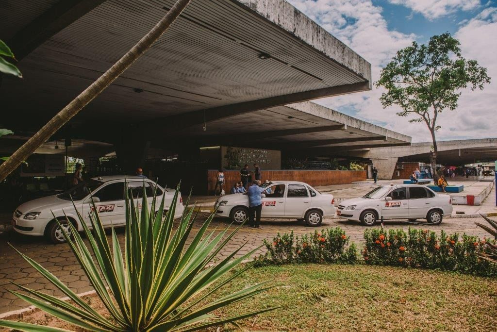Táxis brancos enfileirados sob a cobertura de um prédio; plantas verdes e um céu azul se destacam.