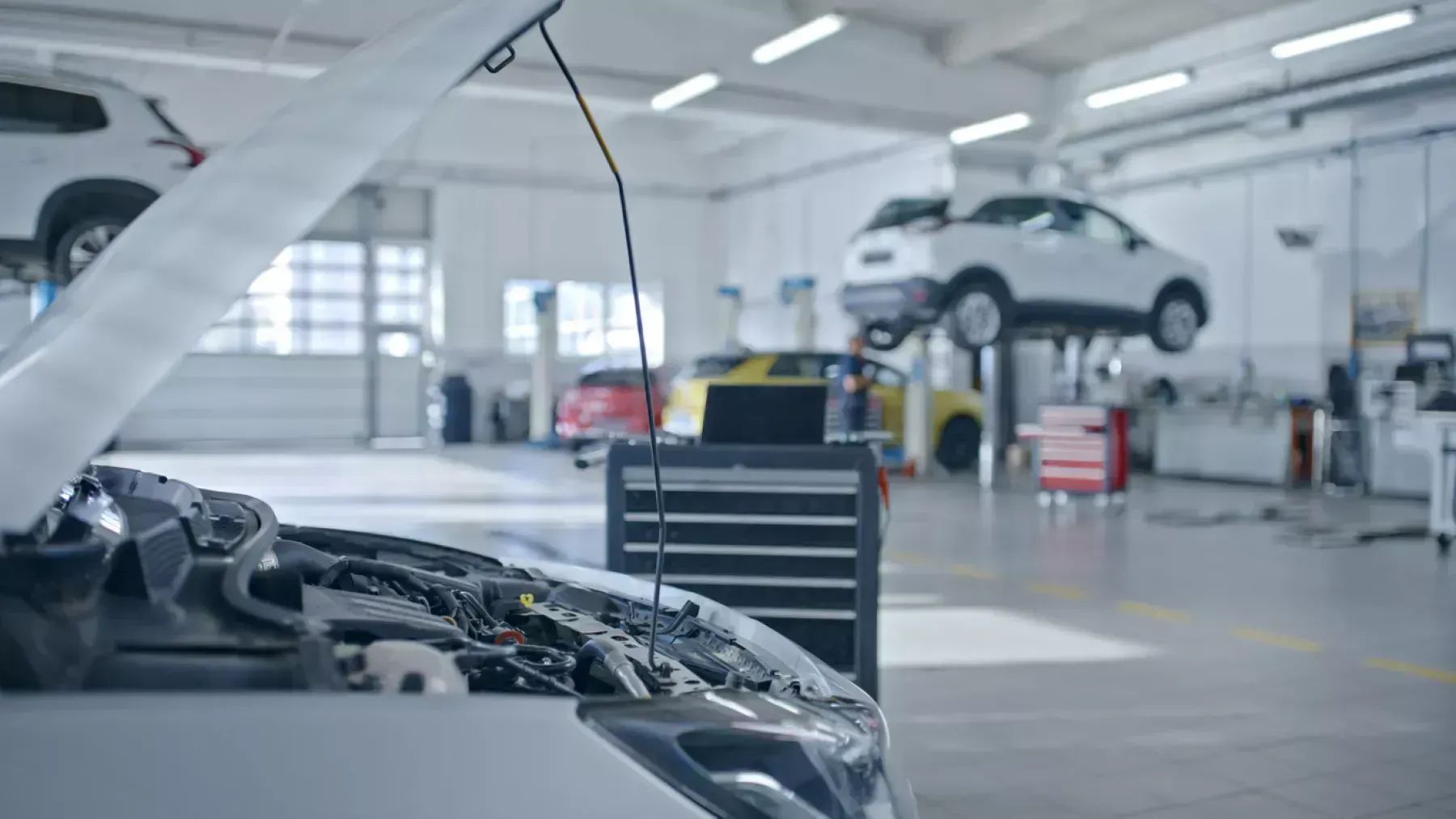 A car with its hood open in a bright auto repair shop, featuring various vehicles, tools