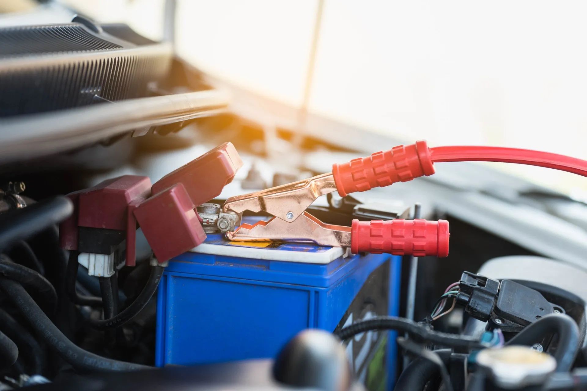 Close-up of car jumper cables attached to a blue battery
