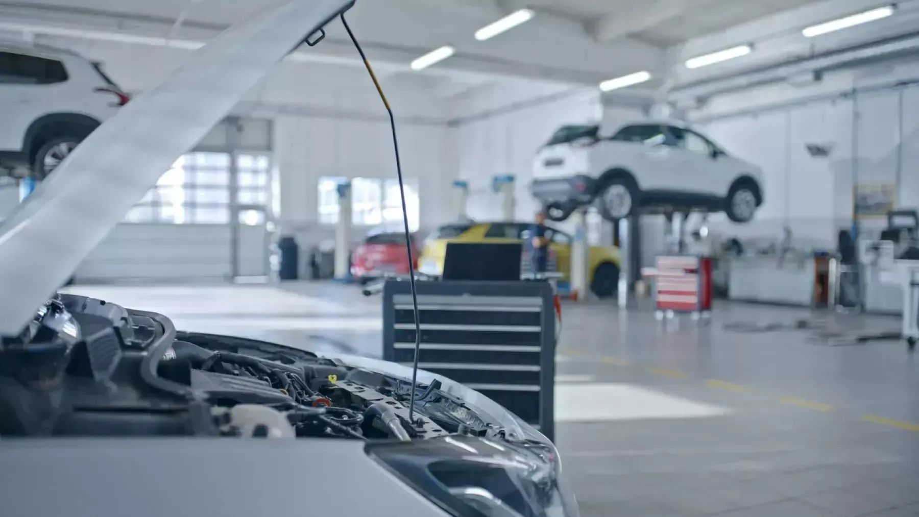 Car repair workshop with multiple cars in for maintenance.